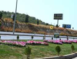 Belende Yol ve Parklarda iekler At...